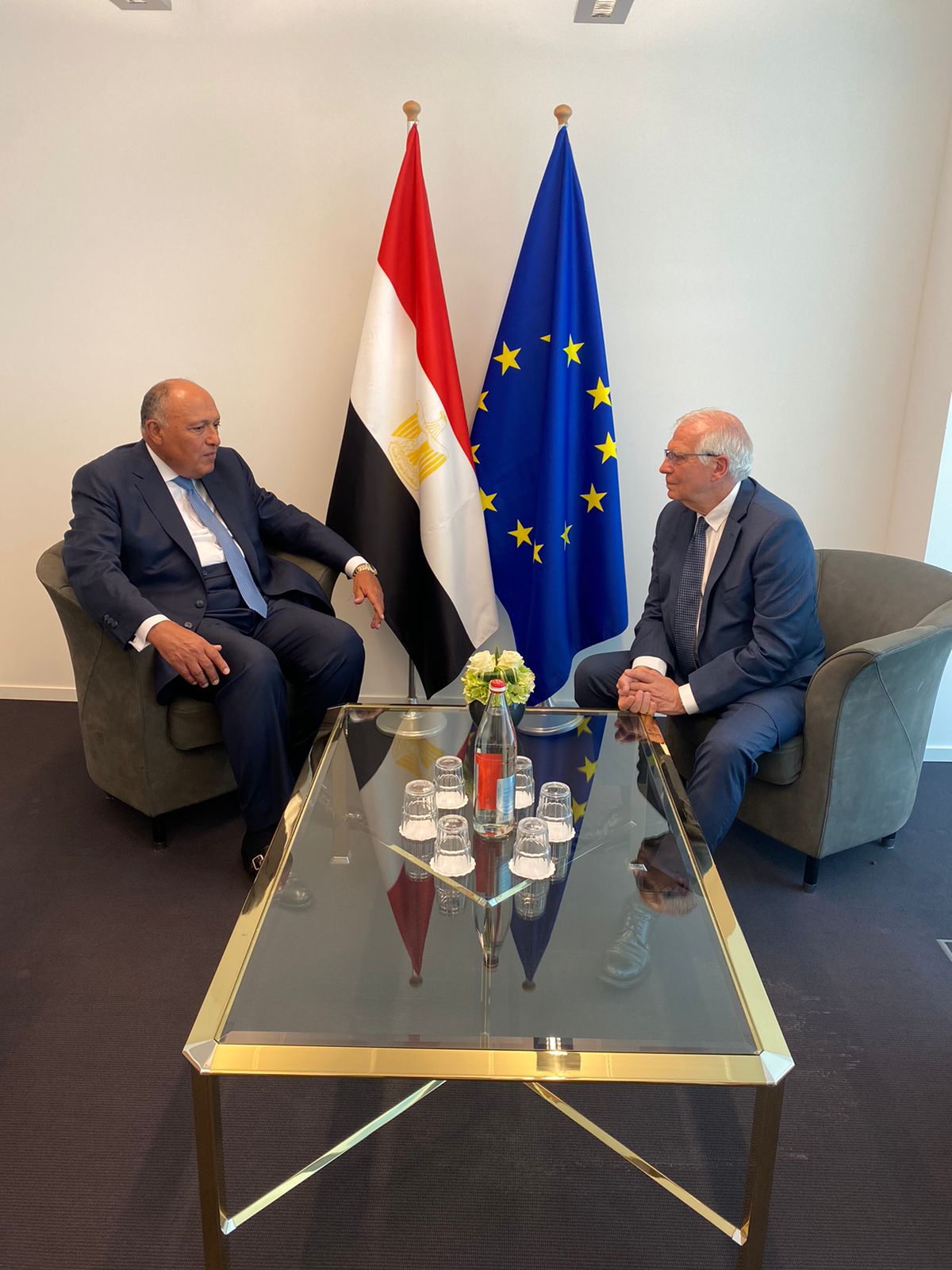 شكري وبوريل